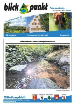 Amtsblatt KW 31 vom 30. Juli 2026