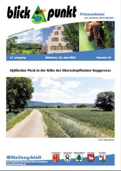 Amtsblatt vom 10. Juni 2020