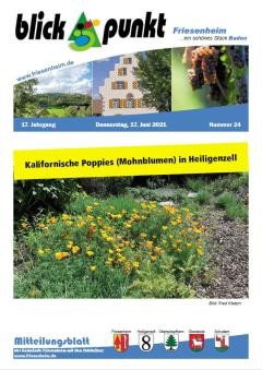 Amtsblatt KW 24 vom 17. Juni 2021