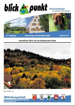 Amtsblatt vom 19. November 2020