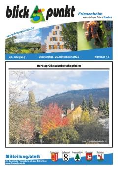 Amtsblatt KW 47 vom 20. Nov. 2025