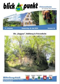 Amtsblatt vom 18. Juni 2020