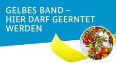 Aktion "Gelbes Band"